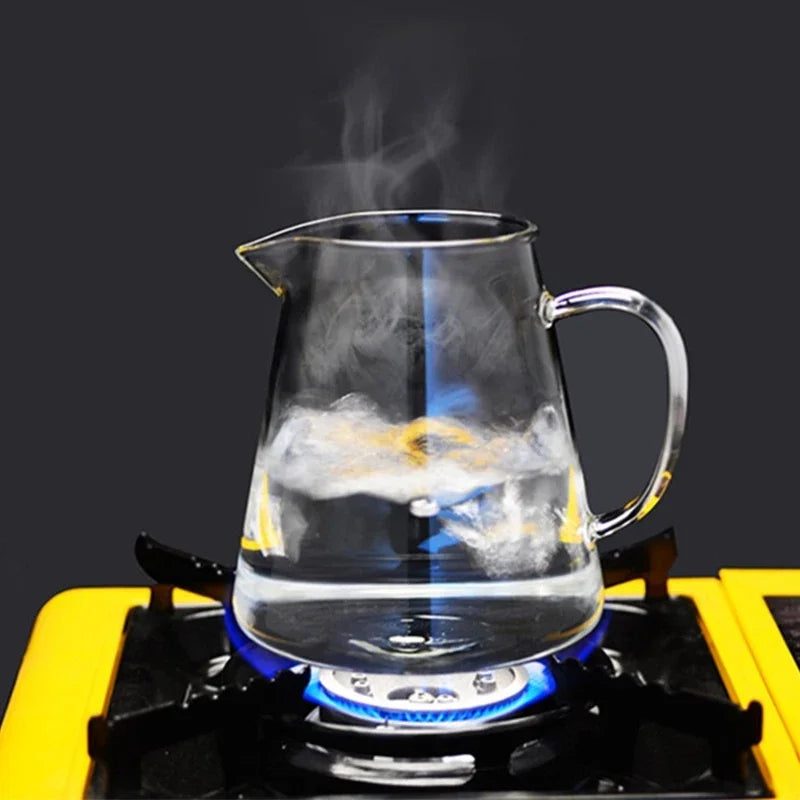 Heat Resistant Glass Teapot with Stainless Steel Infuser