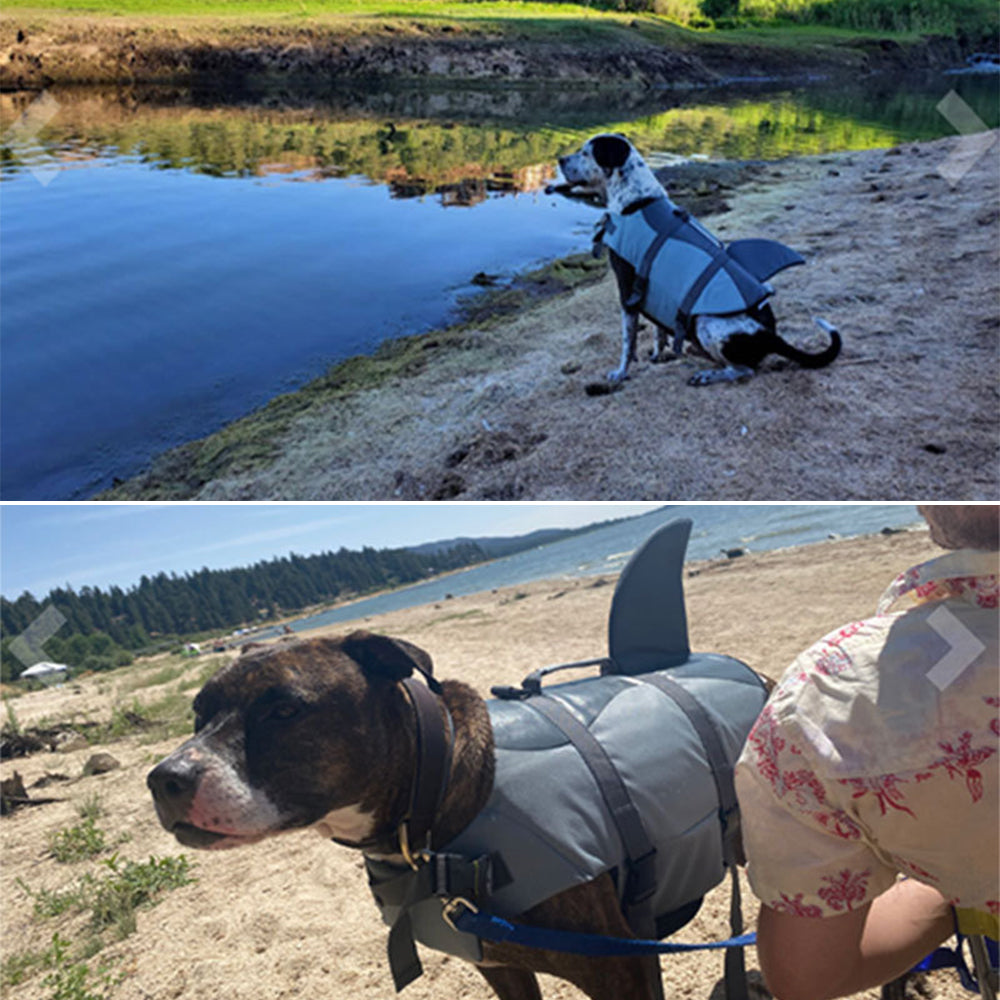 Dog Life Jacket Fun Shark Design - Safety Vest with Handle